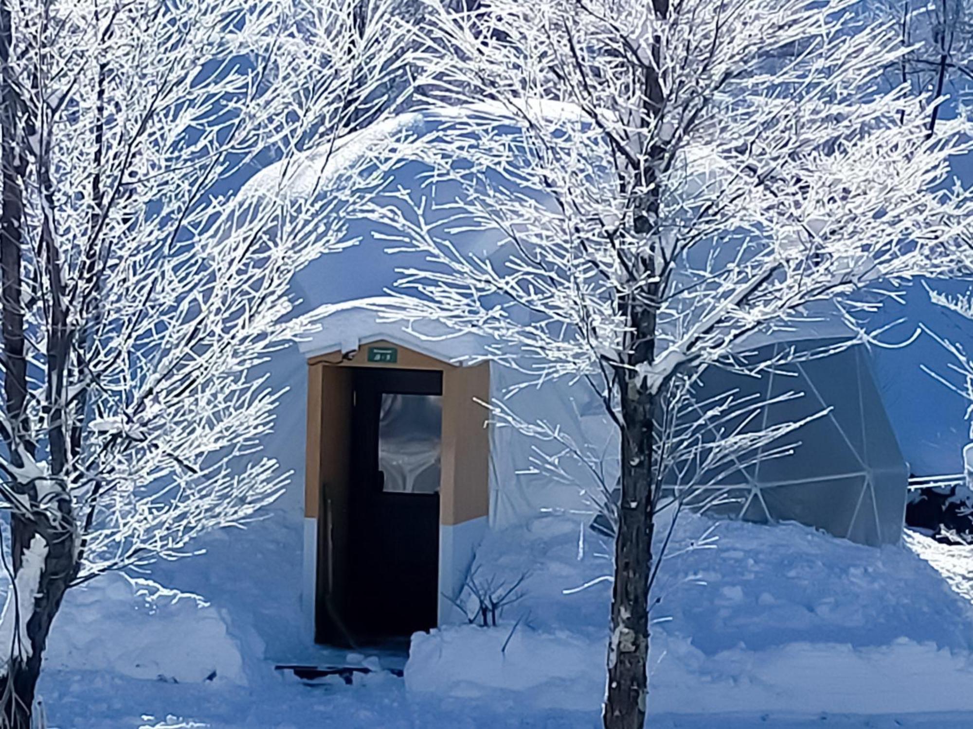 G-4 Gramping Sauna 白馬森のわさび農園 Luxury tent